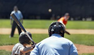 baseball home plate umpire view